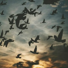 تجيني بعدما حبيت غيرك