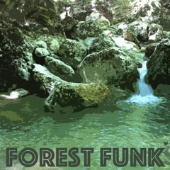 Dubbydubich - Forest Funk