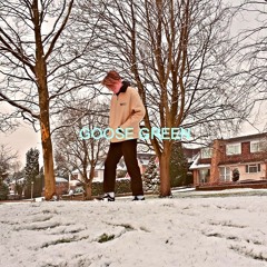 Goose Green
