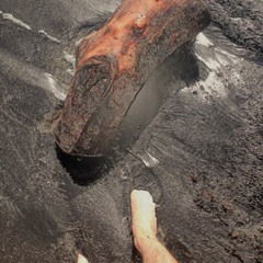 World–Wearied Flesh