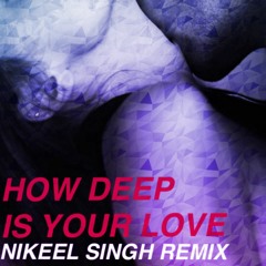 Nikeel Singh - How Deep Is Your Love Remix