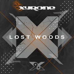 Lost Woods (Original Mix)