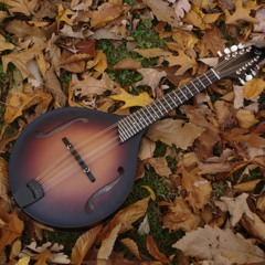 Bach Cello Suite 3 Courante For Mandolin