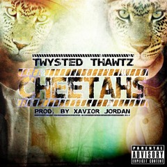 Cheetahs (Prod. By Xavior Jordan)