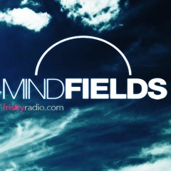 Dynamic Illusion @ Mindfields | 2015-07 July | [Frisky Radio]