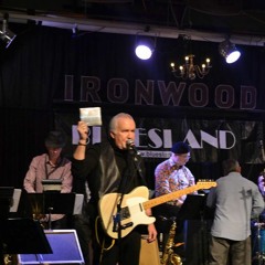 CFBW Bluewater Radio Interview with Terry Medd of Bluesland