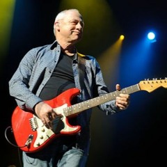 Mark Knopfler – Golden Heart (Live)