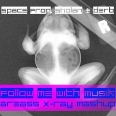 Space Frog, Sholan & Derb - Follow Me With Musik (Area55 X-Ray Mashup)