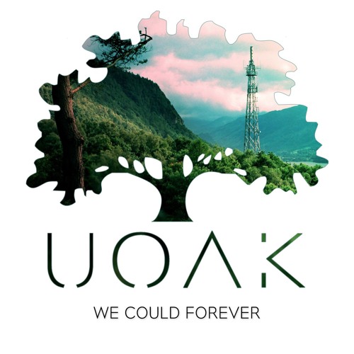 Bonobo - We Could Forever (UOAK Edit)