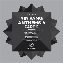 YYR154B : Kreisel & Idiosynkrasia - Orbit 309 (Original Mix)