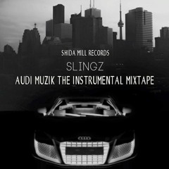 Young And The Reckless-(PROD BY SLINGZ) Shida Mill Records