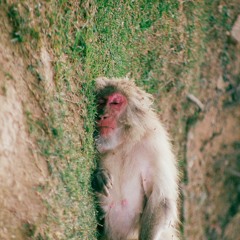 Exitpost — Comfortable [ft. Unmo]