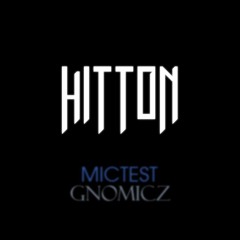 Hitton MicTest