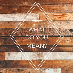 What Do You Mean? - Justin Bieber (Cover)