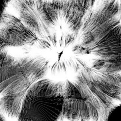 NIcolas Debade @laMembrane