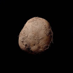Potato #345