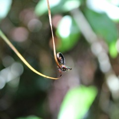 Hans Blix - Hommage An Das Leben