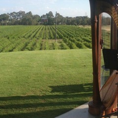 Wedding Sample - Young And Beautiful (Lana Del Rey)