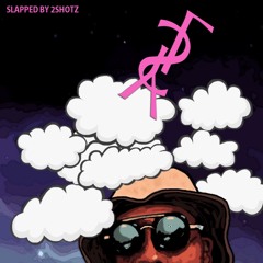 The First Episode (slapped By 2Shotz)