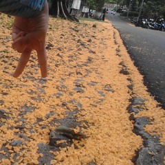 Sepanjang Jalan Kenangan