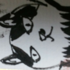 People watch the sky , cats watch anything