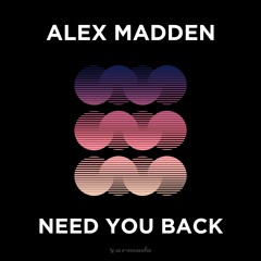 Alex Madden - Need You Back [OUT NOW]