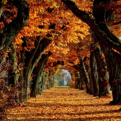 Autumn