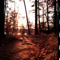 John Berry and Friends- "Morning Song"