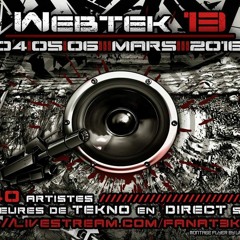Webtek 13