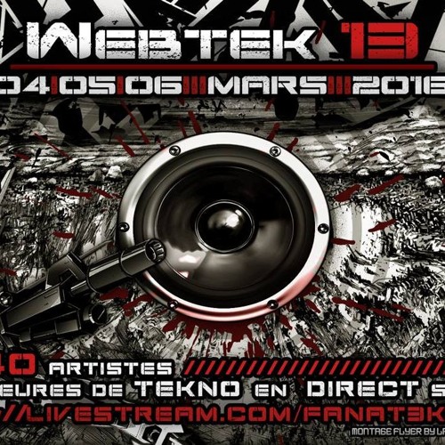 Webtek 13