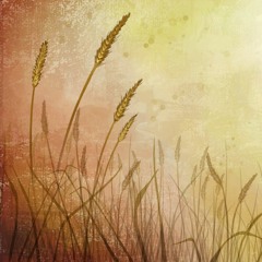 遥远的旅途 - 吉田潔