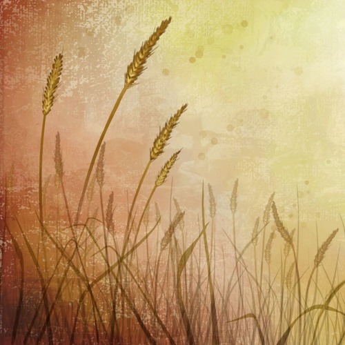 遥远的旅途 - 吉田潔