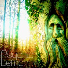 PSYCHIC LEMON - Death Cult Blues