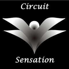 Circuit Sensation The True Circuit Music 2016