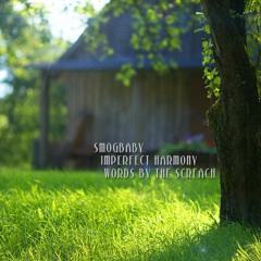 Imperfect Harmony - SmogBaby Screach Collaboration