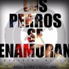 Los Perros Se Enamoran .... Andy Rivera FT Nicky Jam