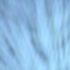 younghoon beats unemployment check