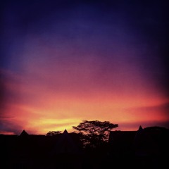 i can't make you love me