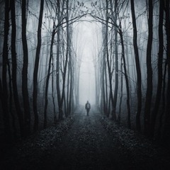 Taylor Swift- Out Of The Woods Teaser