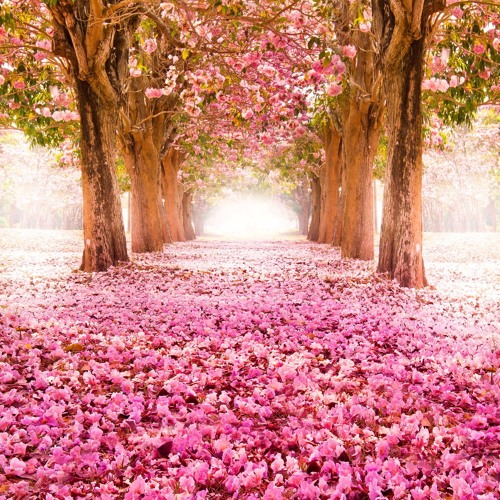 Spring