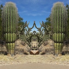 CORONAL MASS EJECTION