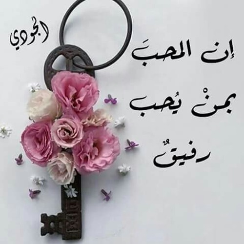اصاله ورامى صبرى مش فاكر ليك