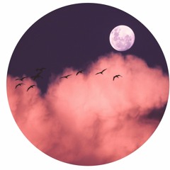 Jim Morrison - Bird Of Prey [Remix]