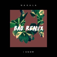 Nakala ~ I Know (Bao Remix)