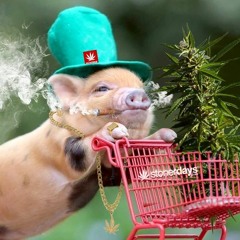 'Dance while the record spins'