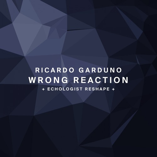 !95 : Ricardo  Garduno - Wrong Reaction (Original Mix)