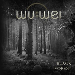 Wu Wei - Our Ghosts -  (SOULULAR REMIX)