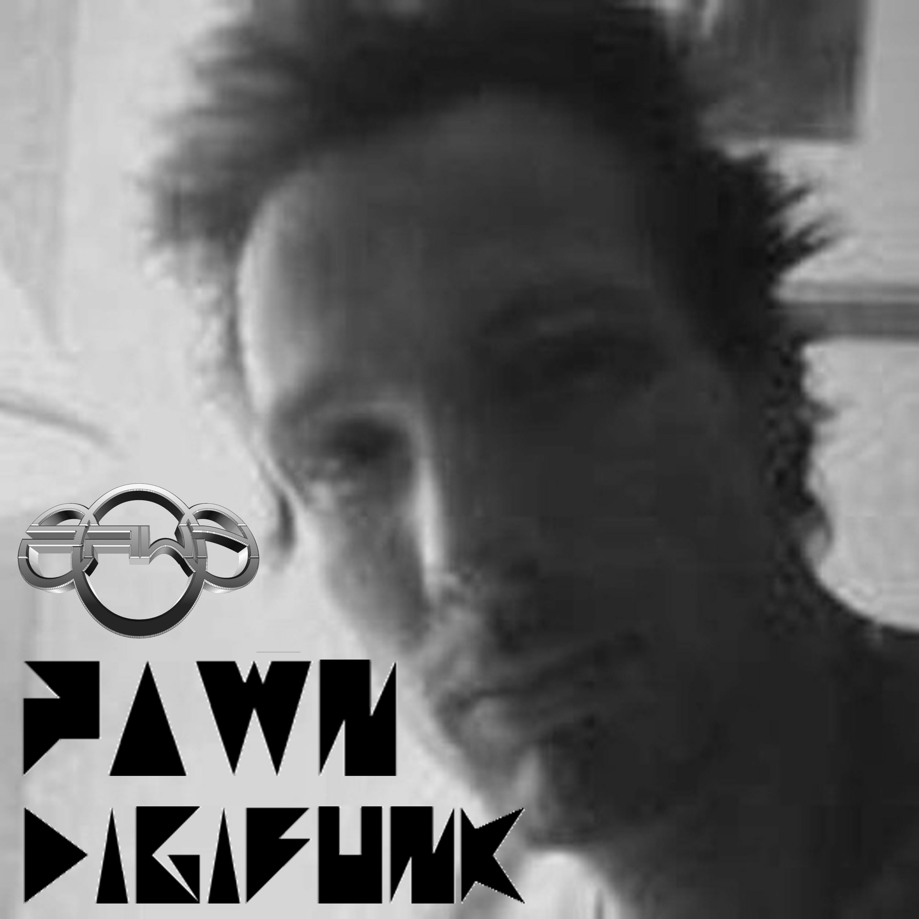 Digifunk 1-01 (2011)