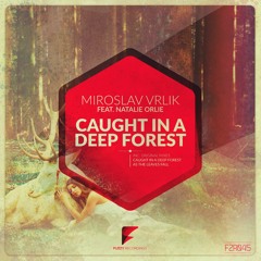 Miroslav Vrlik - As The Leaves Fall (Original Mix) [Fuzzy Recordings]