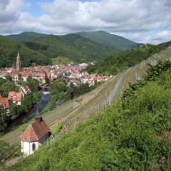 Épisode 7 - AOC Alsace Grand Cru Rangen